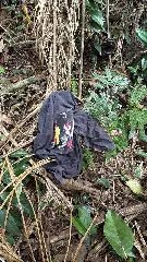 Suspeito foge pela janela durante furto a residência no Jardim Maluche - 2