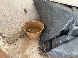 Brusque intensifica combate à dengue com ação em bairros da cidade - 4