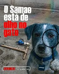 Com mais de 50 mil unidades consumidoras, entenda como o Samae desbanca esquemas de furto de água - 2
