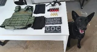 Carro roubado, armas e colete balístico: operação da Guarda Municipal termina com um preso - 1