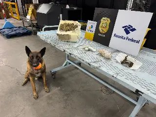 Operação “Envio Seguro” apreende mais de 40 quilos de drogas - 2
