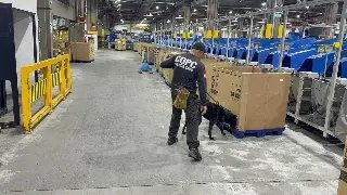 Operação “Envio Seguro” apreende mais de 40 quilos de drogas - 3