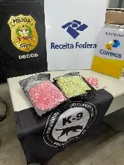 Operação “Envio Seguro” apreende mais de 40 quilos de drogas - 4