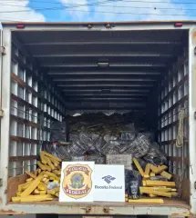 Polícia Federal apreende seis toneladas de maconha em Santa Catarina - 1