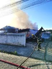 Mesmo com casa destruída, animais são resgatados do fogo - 2