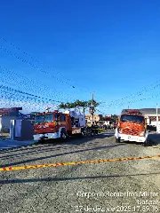 Mesmo com casa destruída, animais são resgatados do fogo - 1