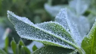 Frio derruba temperaturas na Serra catarinense em pleno janeiro - 1