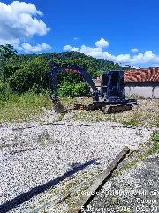 Ataque de abelhas deixa homem ferido durante limpeza de terreno no Bateias - 2