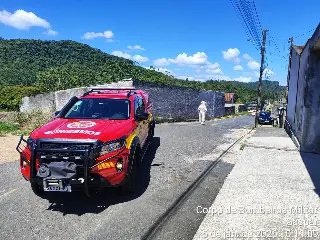 Ataque de abelhas deixa homem ferido durante limpeza de terreno no Bateias - 1