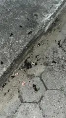Pedra e socos: saída ao bar acaba em algemas - 2