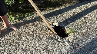 (VÍDEO) Morador improvisa tábua para sinalizar buraco no Poço Fundo - 2