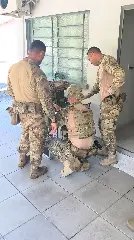 (VÍDEO) BOPE é acionado após artefato explosivo ser entregue na PM - 8