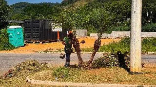 Mutirão de roçada avança no Jardim Maluche - 3