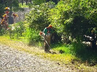 Mutirão de roçada avança no Jardim Maluche - 4