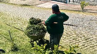 Mutirão de roçada avança no Jardim Maluche - 2