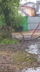 (VÍDEO) Temporal causa danos na Escola Dom João Becker - 1