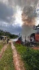Cachorro amarrado em banheiro é salvo por bombeiros durante incêndio - 2