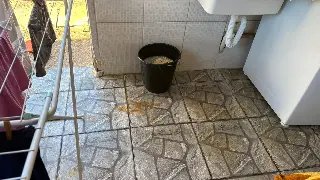 (VÍDEO) Após chuva, casa é alagada e moradora aponta problemas na pavimentação - 12