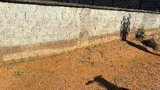 (VÍDEO) Após chuva, casa é alagada e moradora aponta problemas na pavimentação - 1