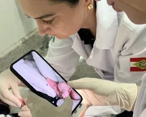 Santa Catarina testa emissão da carteira de identidade ainda na maternidade - 2