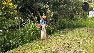De caminhada solitária a servidor municipal: uma história de recomeço - 3