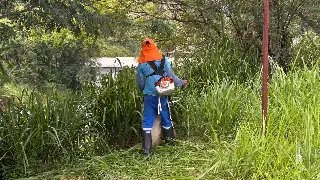 De caminhada solitária a servidor municipal: uma história de recomeço - 1