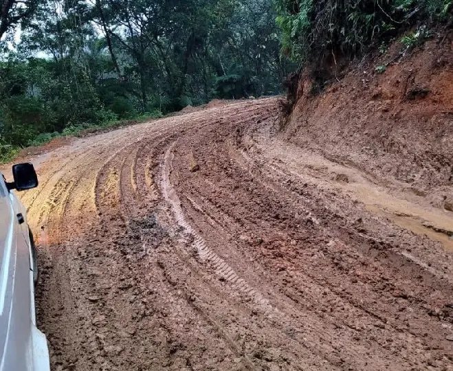"Material colocado foi de m&aacute; qualidade", afirma Nene