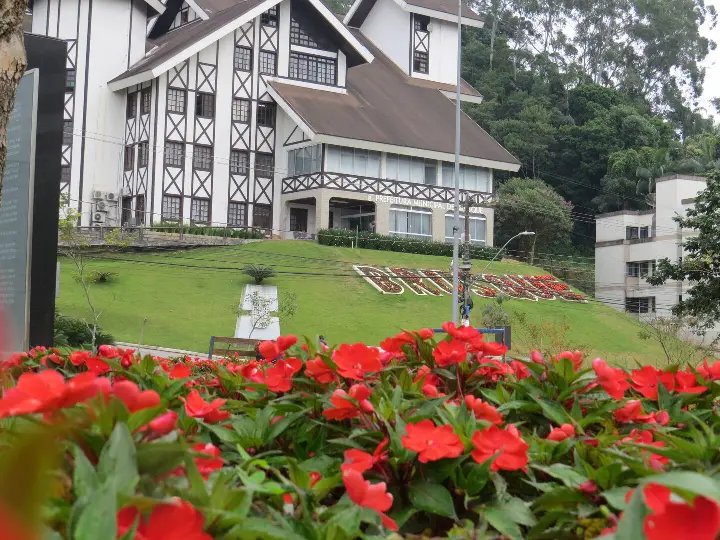Flores coloridas enfeitam v&aacute;rios pontos da cidade