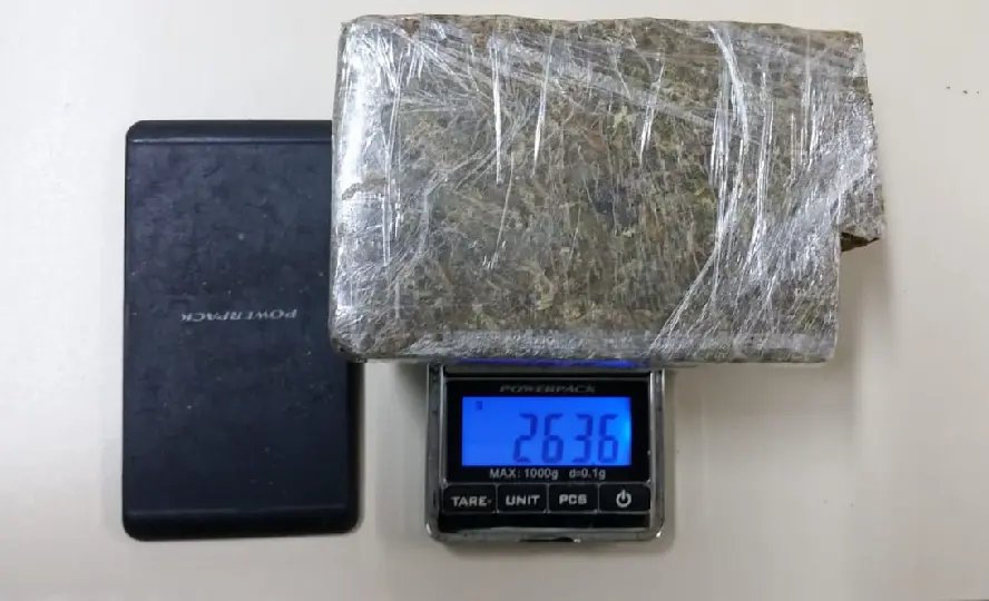 Polícia apreende 250 gramas de maconha e prende um