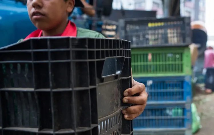 Estado realiza a&ccedil;&otilde;es de combate ao trabalho infantil 