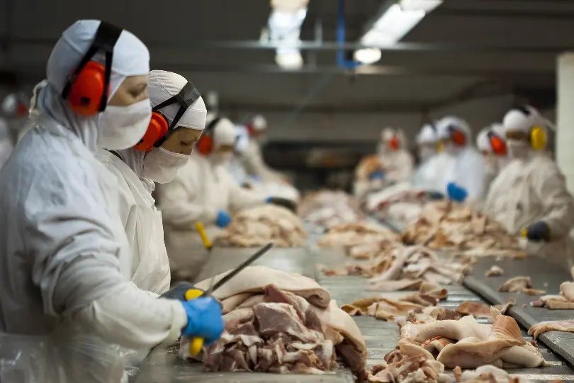 Governo imp&otilde;e 18 regras para que ind&uacute;stria retome atividades