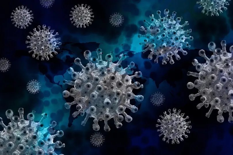 Guabiruba tem 48 horas sem novas contamina&ccedil;&otilde;es por Covid-19