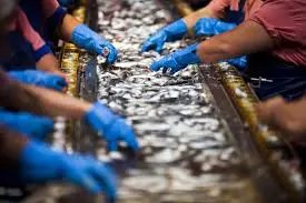 Produção industrial cresce em dez locais 