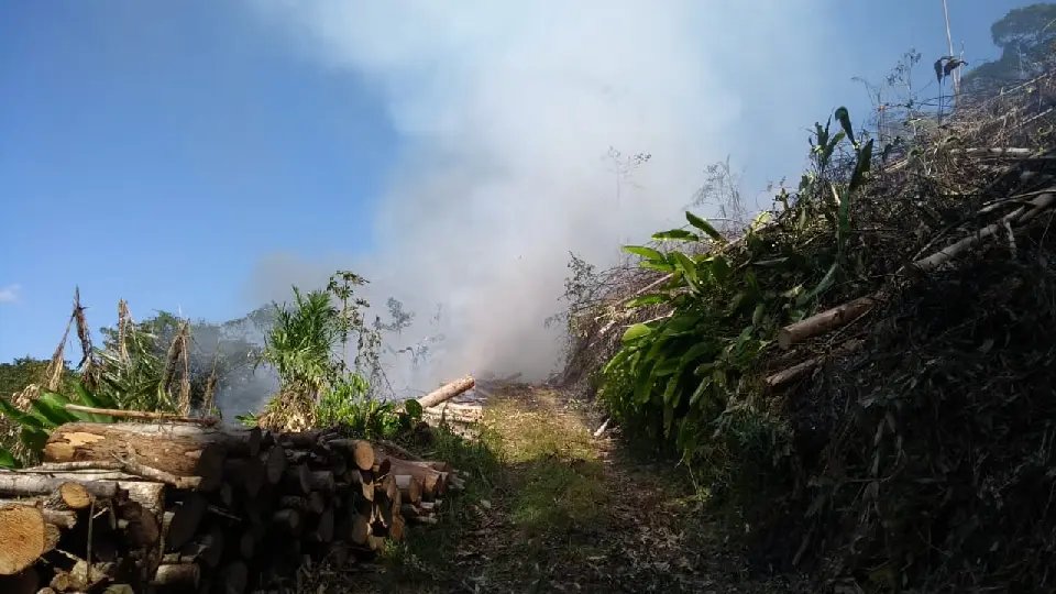 Inc&ecirc;ndio queima &aacute;rea de aproximadamente 10 mil metros quadrados 