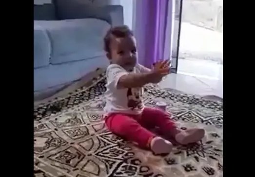V&iacute;deo: A pequena Dalina rouba a cena ao interagir com a professora em atividade a dist&acirc;ncia, em Brusque