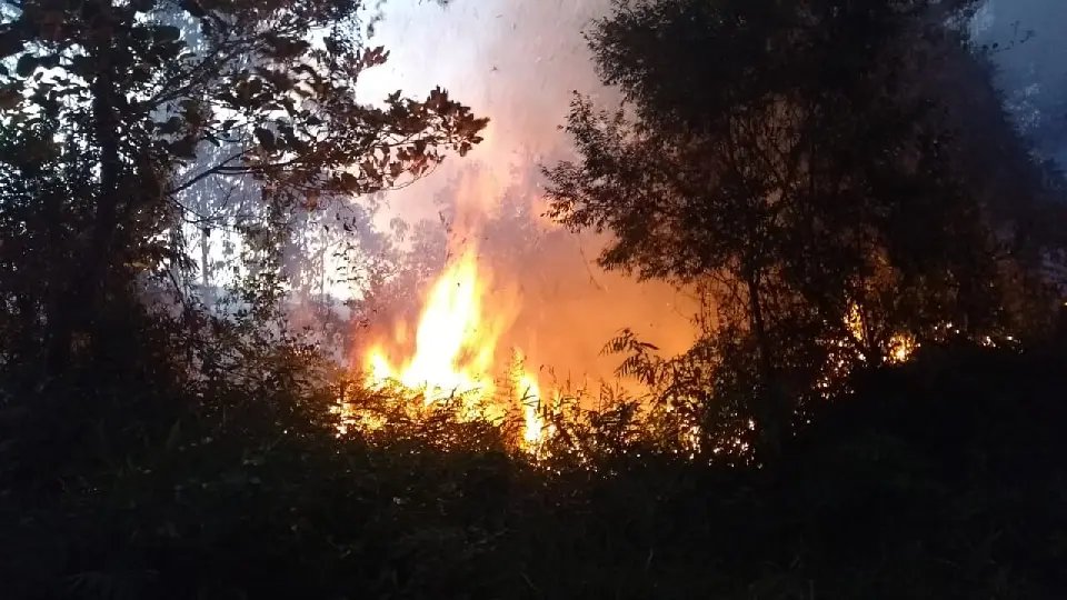 Bombeiros combatem inc&ecirc;ndio em vegeta&ccedil;&atilde;o na Guabiruba