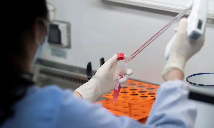 Covid-19: mortes somam 359 e infectados s&atilde;o 9 mil no Brasil