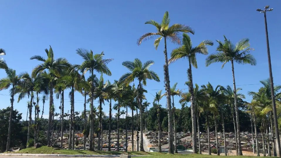 Secretarias de Obras realiza de forma constante a manuten&ccedil;&atilde;o do Cemit&eacute;rio Parque da Saudade