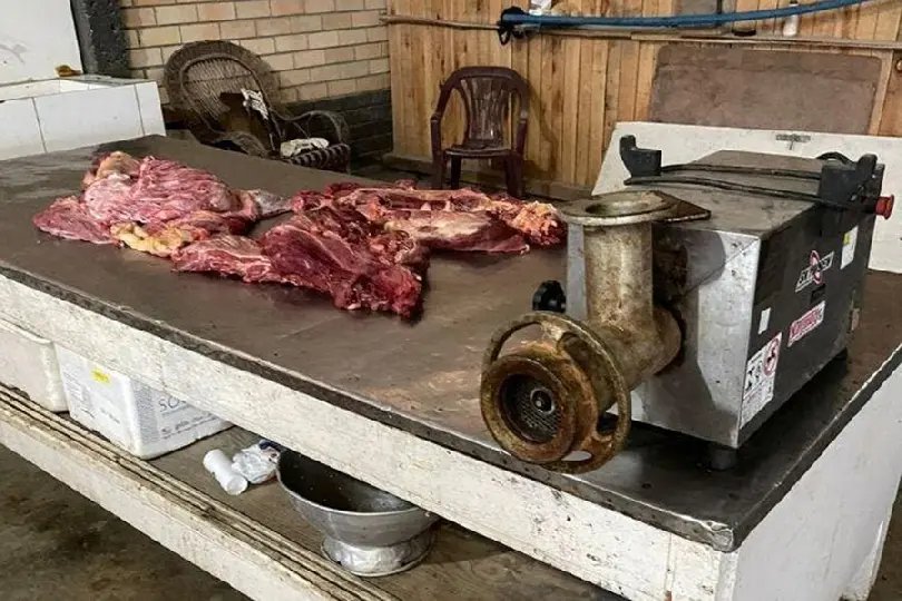 520 quilos de carne de cavalo &eacute; apreendida em CTG