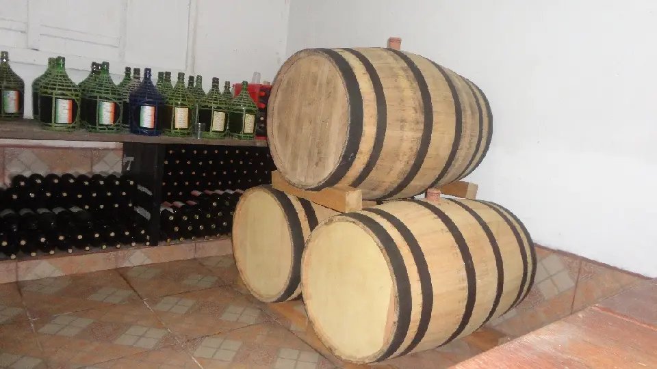 Senado aprova produção de vinhos coloniais