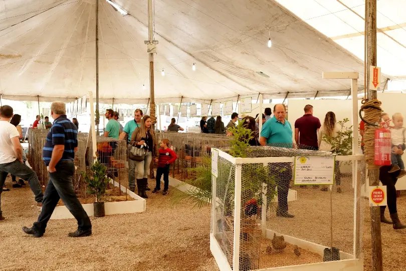 Inscri&ccedil;&otilde;es para exposi&ccedil;&atilde;o e desfile de animais da 8&ordf; Festa da Integra&ccedil;&atilde;o est&atilde;o abertas