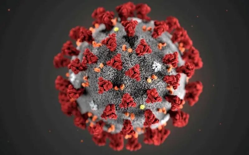Guabiruba atualiza dados de boletim epidemiol&oacute;gico