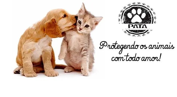 Pata realizará feirinha de adoção