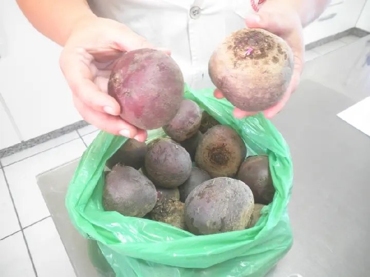 Observatório acompanha entrega de alimentos em escolas