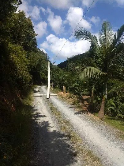 Homem &eacute; preso ao derrubar poste de energia com motosserra