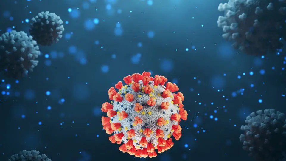 Guabiruba tem sete novos casos de Covid-19