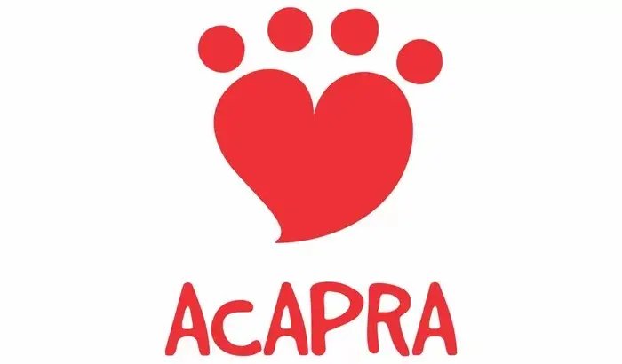 Acapra se manifesta sobre caso da gata jogada no riacho