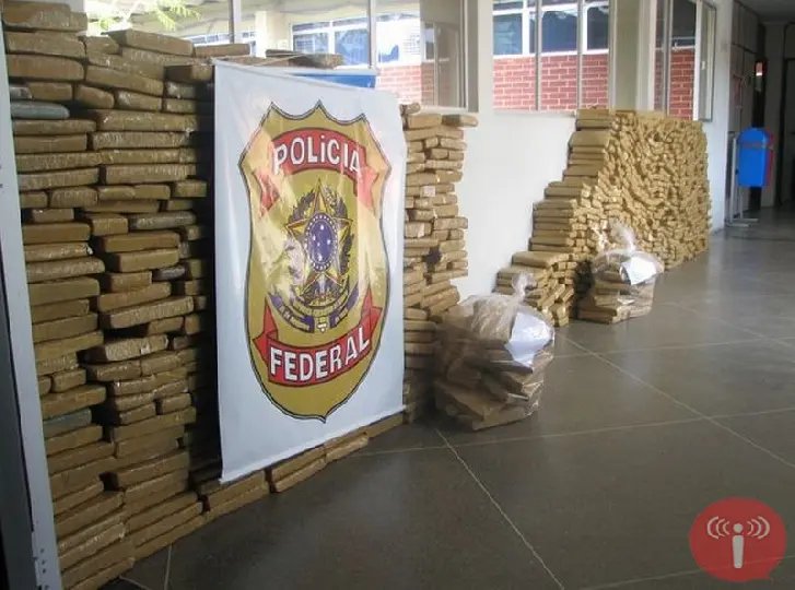 Recorde de apreensão em 2013