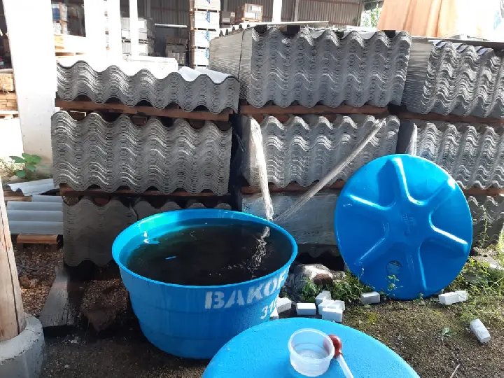 Altos &iacute;ndices de prolifera&ccedil;&atilde;o do mosquito da dengue colocam Brusque em alerta