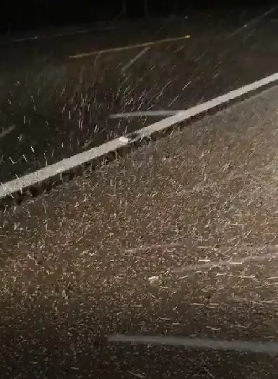 (V&iacute;deo) Neve &eacute; registrada na Serra catarinense